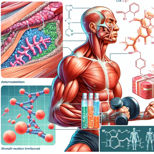 Benefici della LT4 sodio nella riparazione muscolare post-allenamento